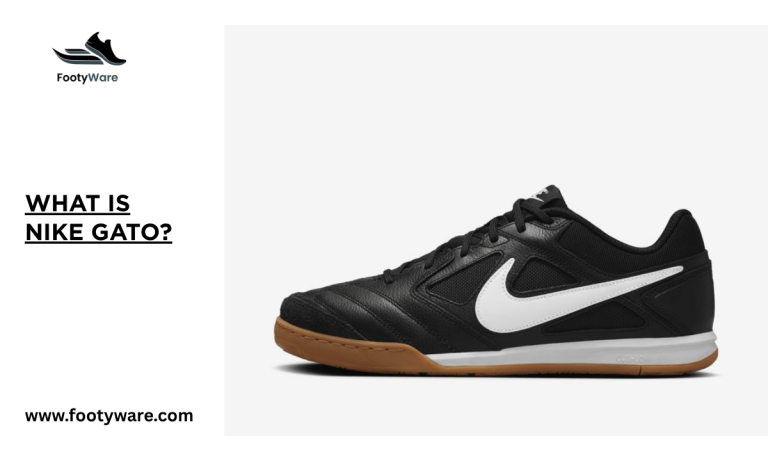 What is Nike Gato
